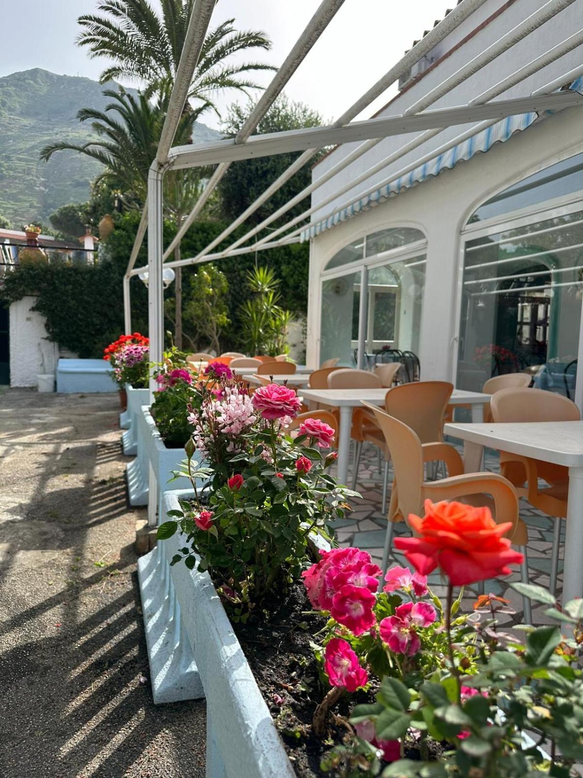Hotel Park Calitto Forio  Exterior photo