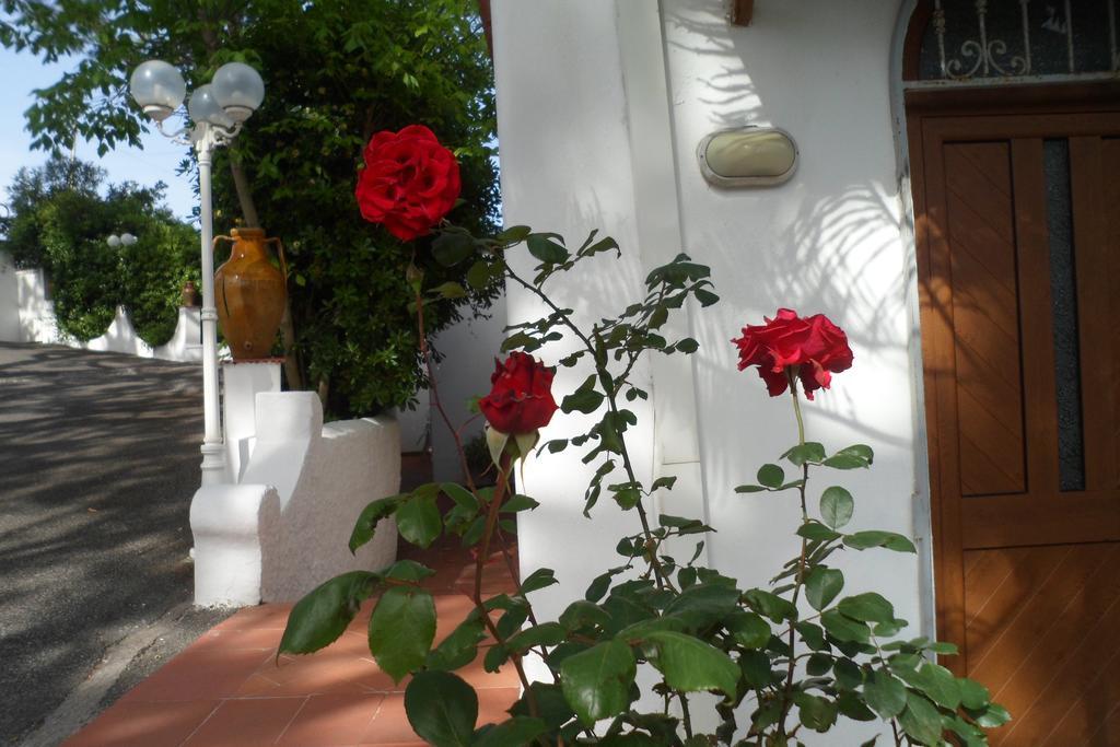 Hotel Park Calitto Forio  Exterior photo