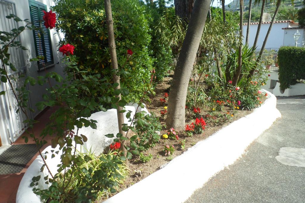 Hotel Park Calitto Forio  Exterior photo
