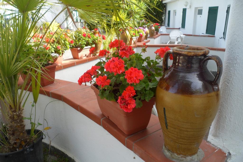 Hotel Park Calitto Forio  Exterior photo
